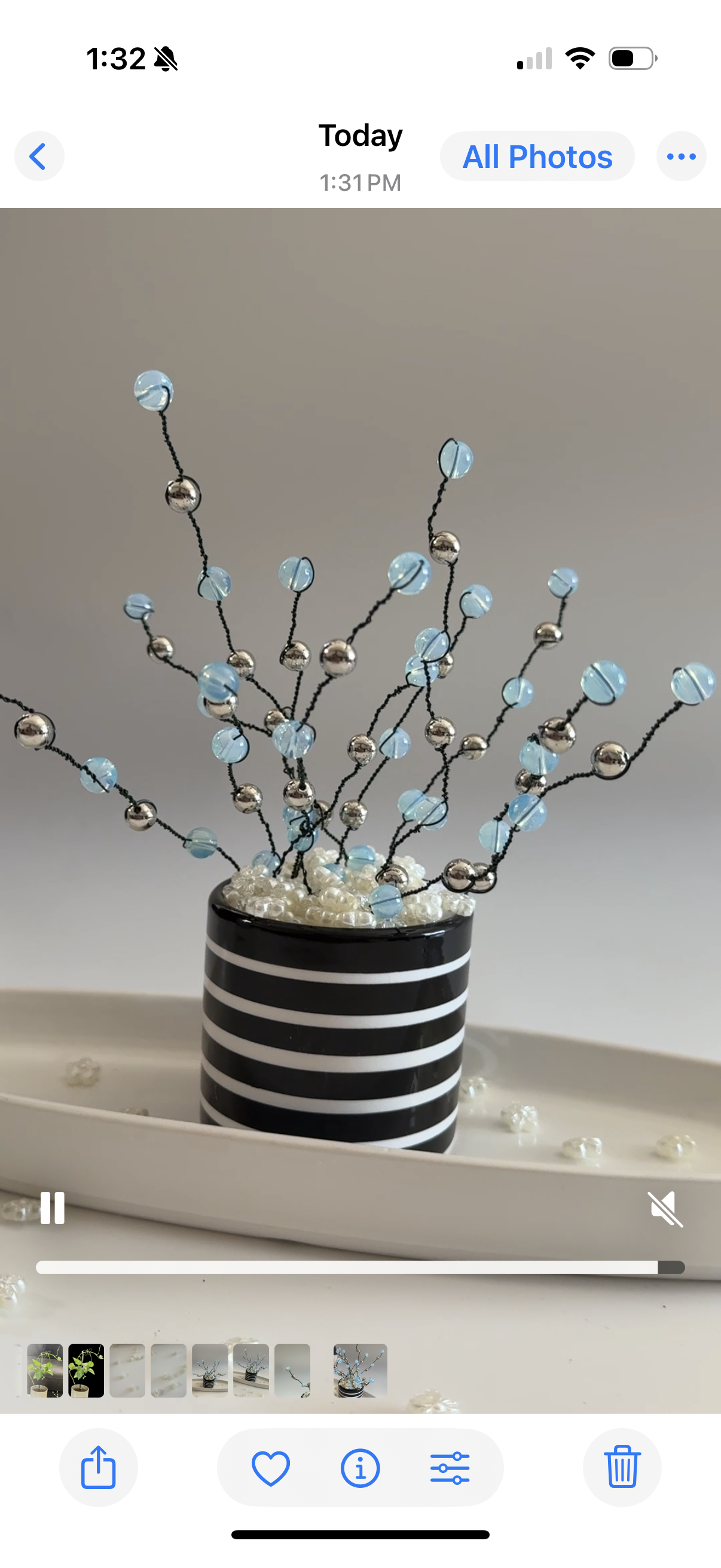 Beaded Plants